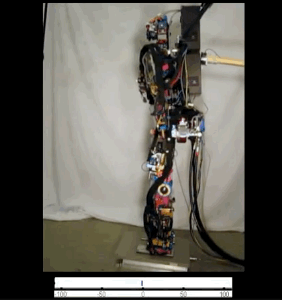 Standing Balance Control