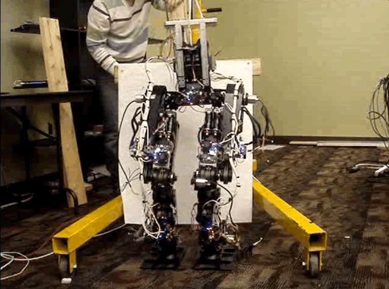 Roboray Humanoid